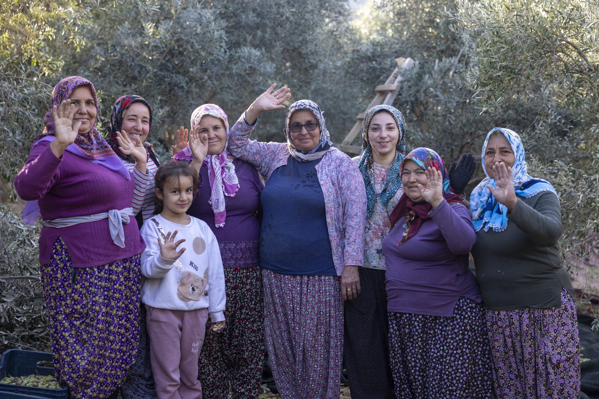 Thumbnail Mersi̇n Büyükşehi̇r’i̇n Fi̇dan Destekleri̇ Meyvesi̇ni̇ Veri̇yor (11)