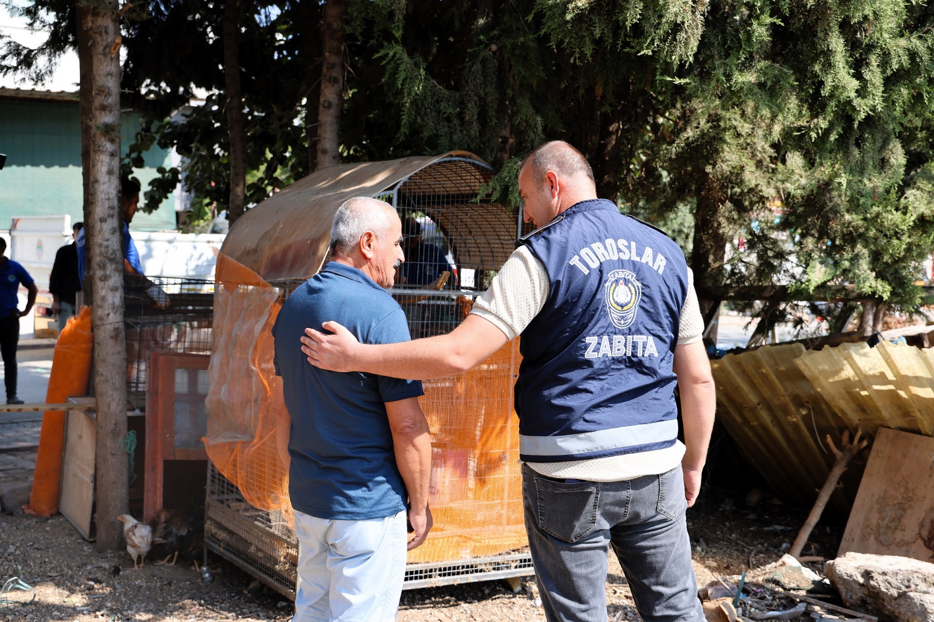 Thumbnail Müftü Deresi Yürüyüş Yolu Düzenleme (2)