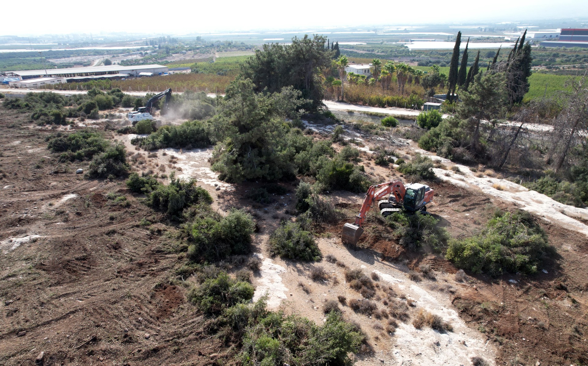 Thumbnail Sokak Hayvanları Doğal Yaşam Alanı (1)