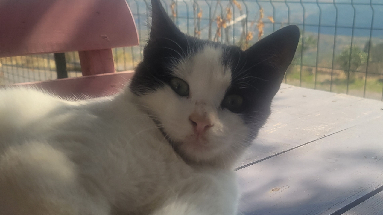 Picsart 25 11 07 04 14 44 007