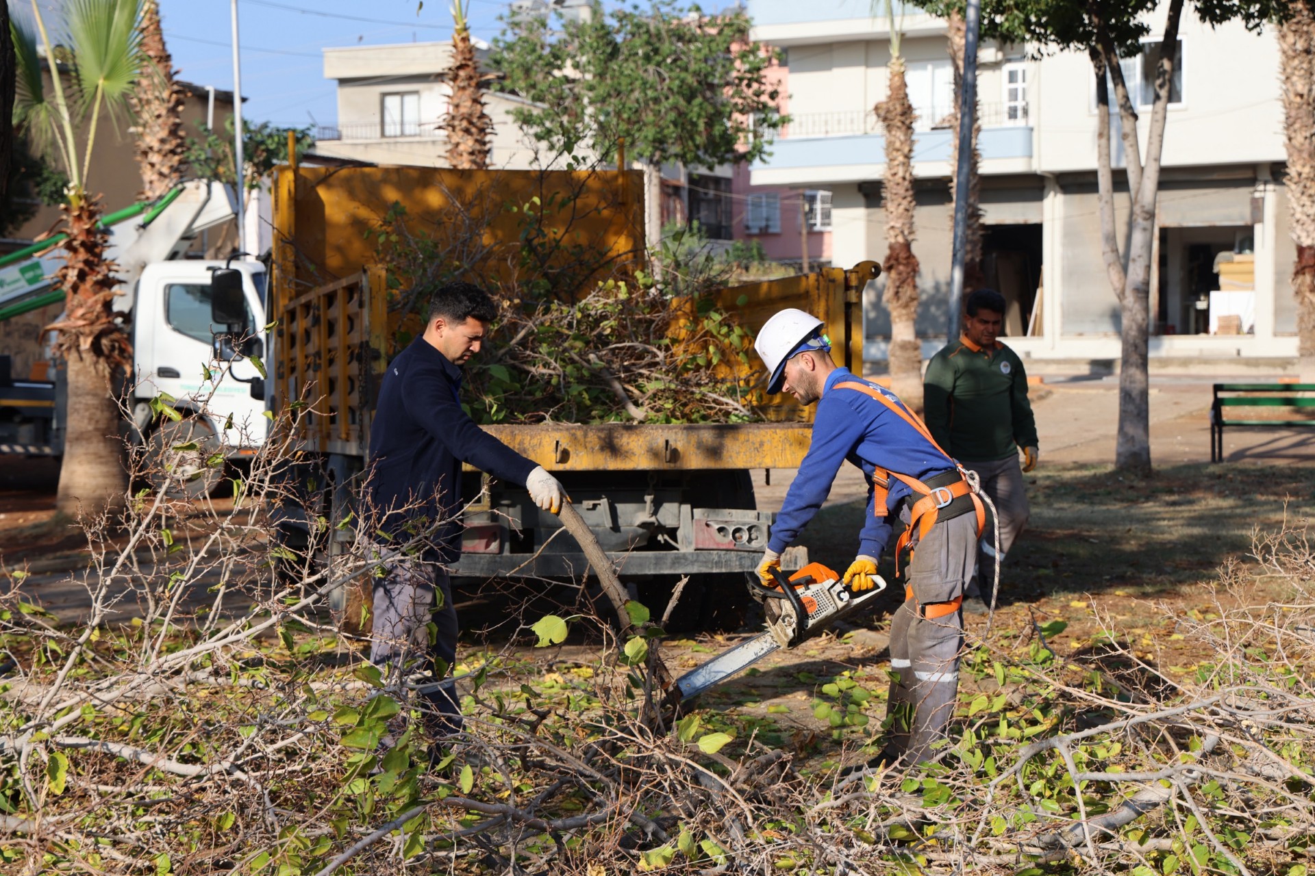 Thumbnail Ağaç Budama Ve Yeşil Alan Bakım (2)