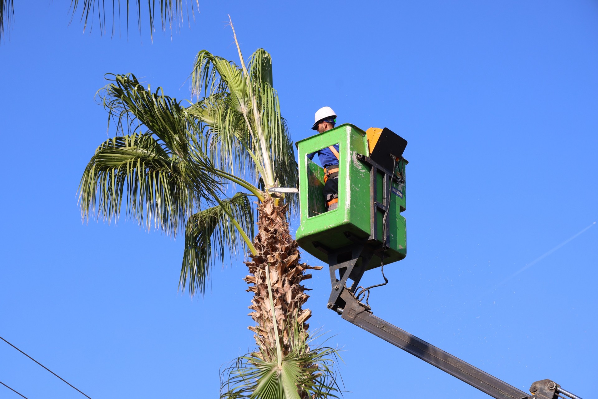 Thumbnail Ağaç Budama Ve Yeşil Alan Bakım (4)