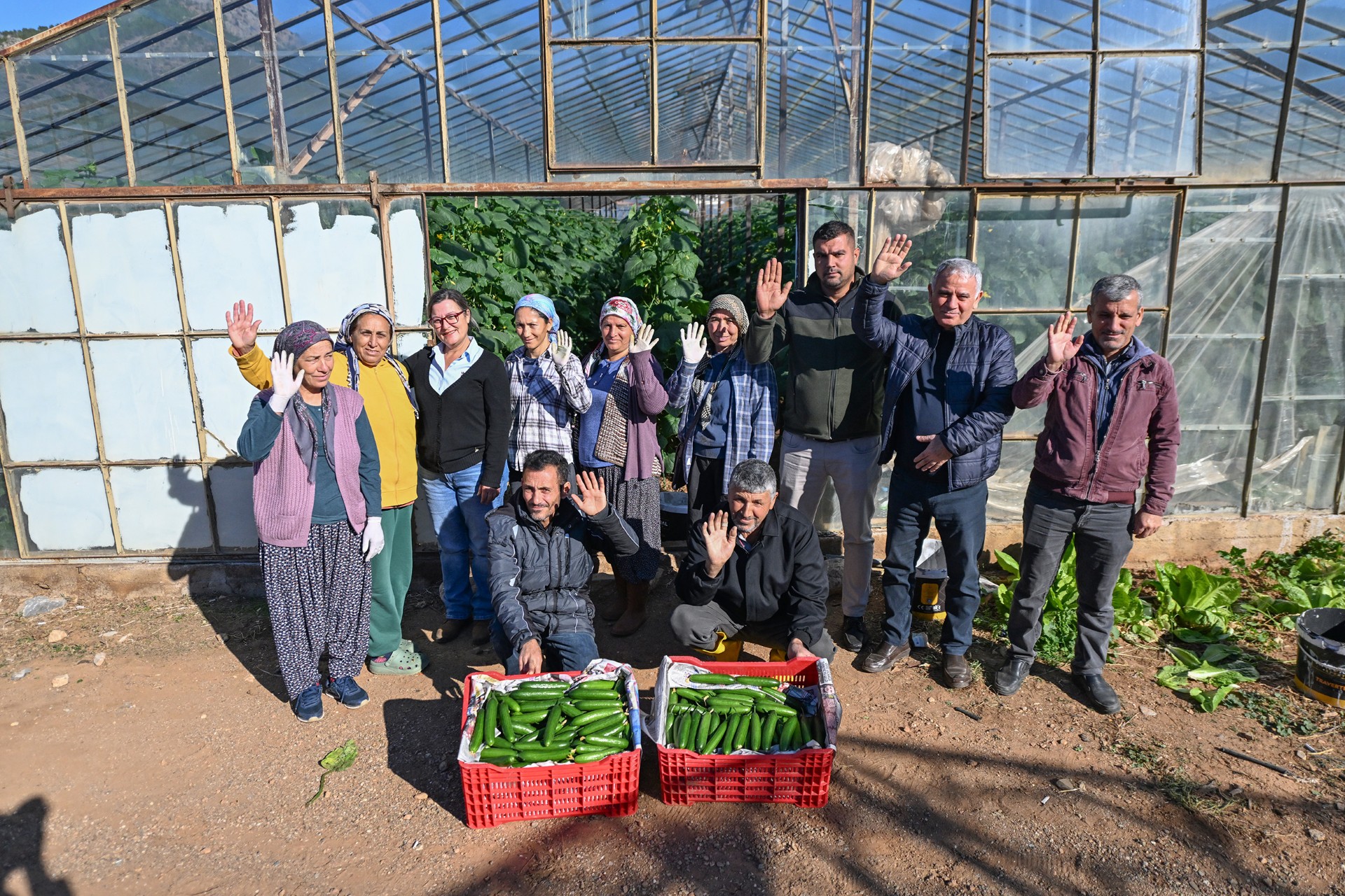 Thumbnail Büyükşehi̇r’i̇n Hiyar Fi̇desi̇ Desteği̇ Aydincik’ta Hasada Dönüştü (1)