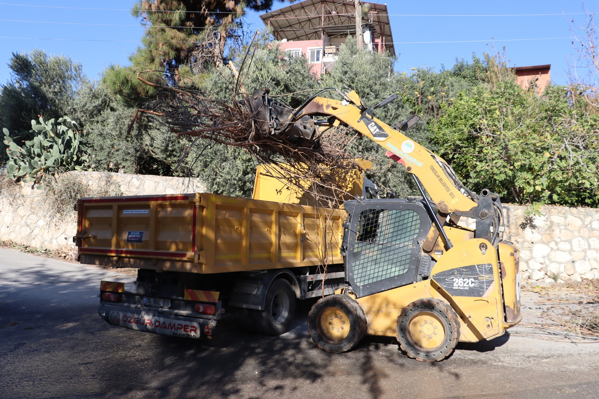 Thumbnail Temizlik Çalışması (4)