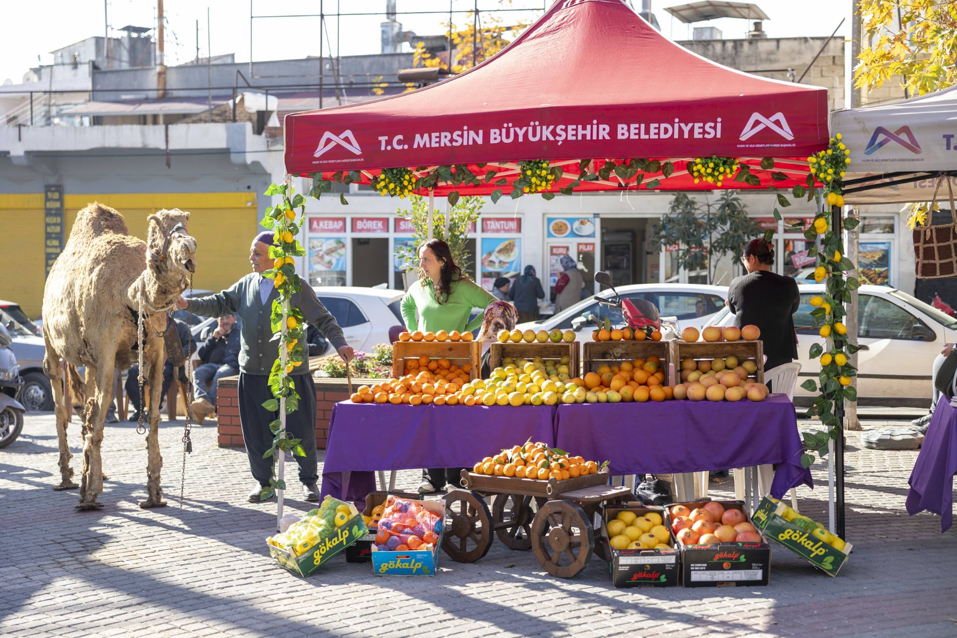 Thumbnail Yerli̇ Mali Haftasi Büyükşehi̇r İle Tömük’te Hayat Buldu (5)