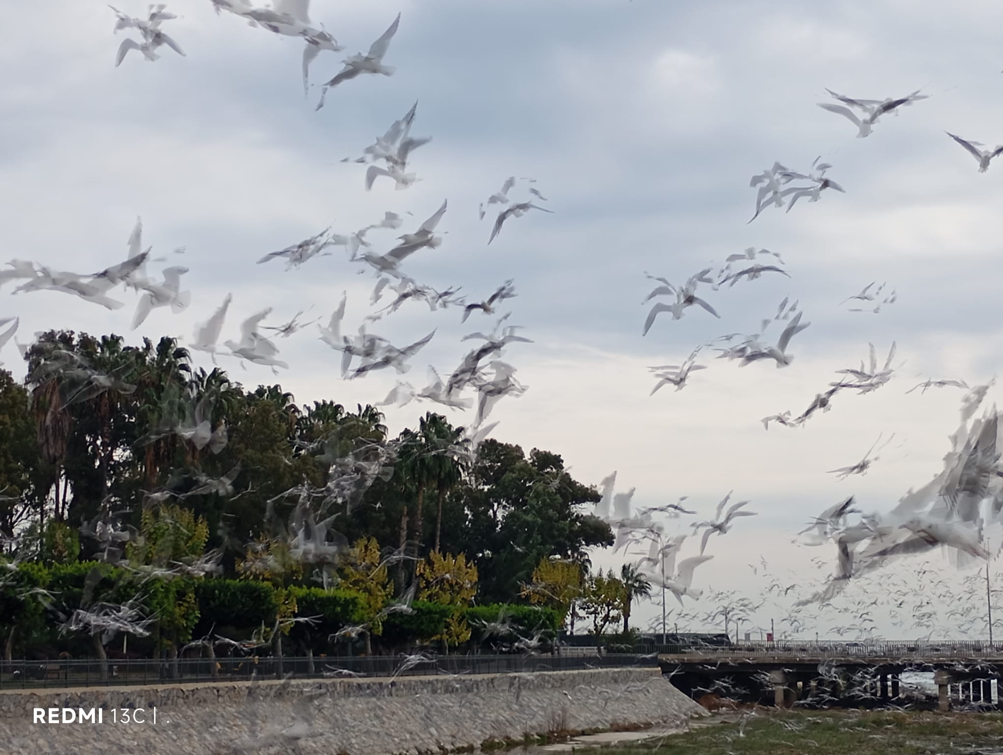 Whatsapp Image 2025 12 22 At 20.44.22