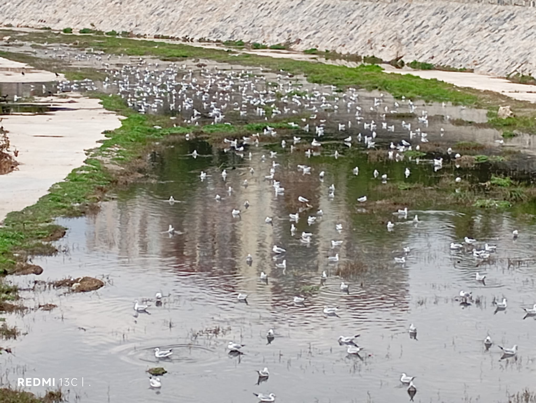 Whatsapp Image 2025 12 22 At 20.44.23