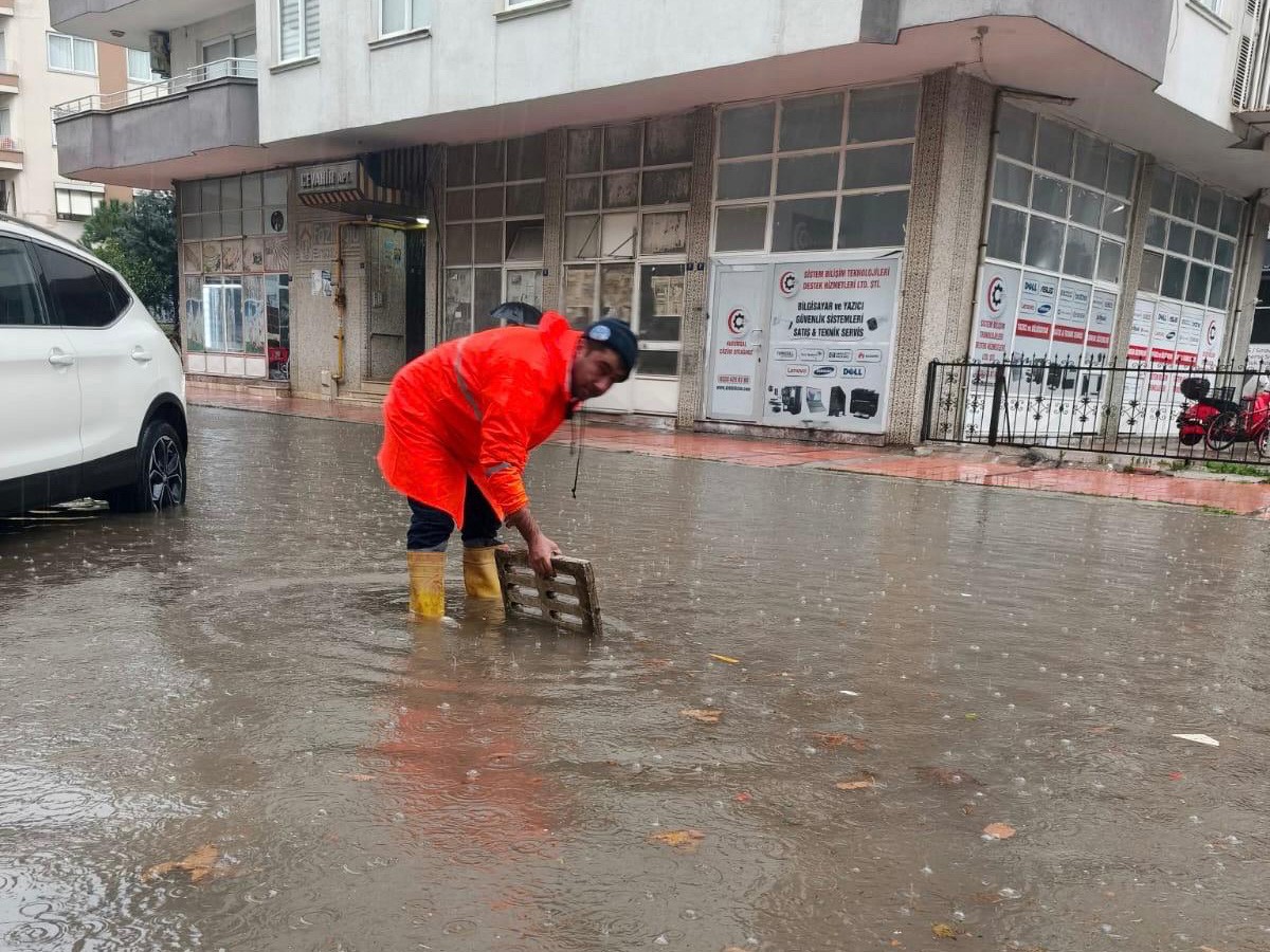 0Ded527C 1Daa 4F72 Ab01 1E1Fa0Bd1624