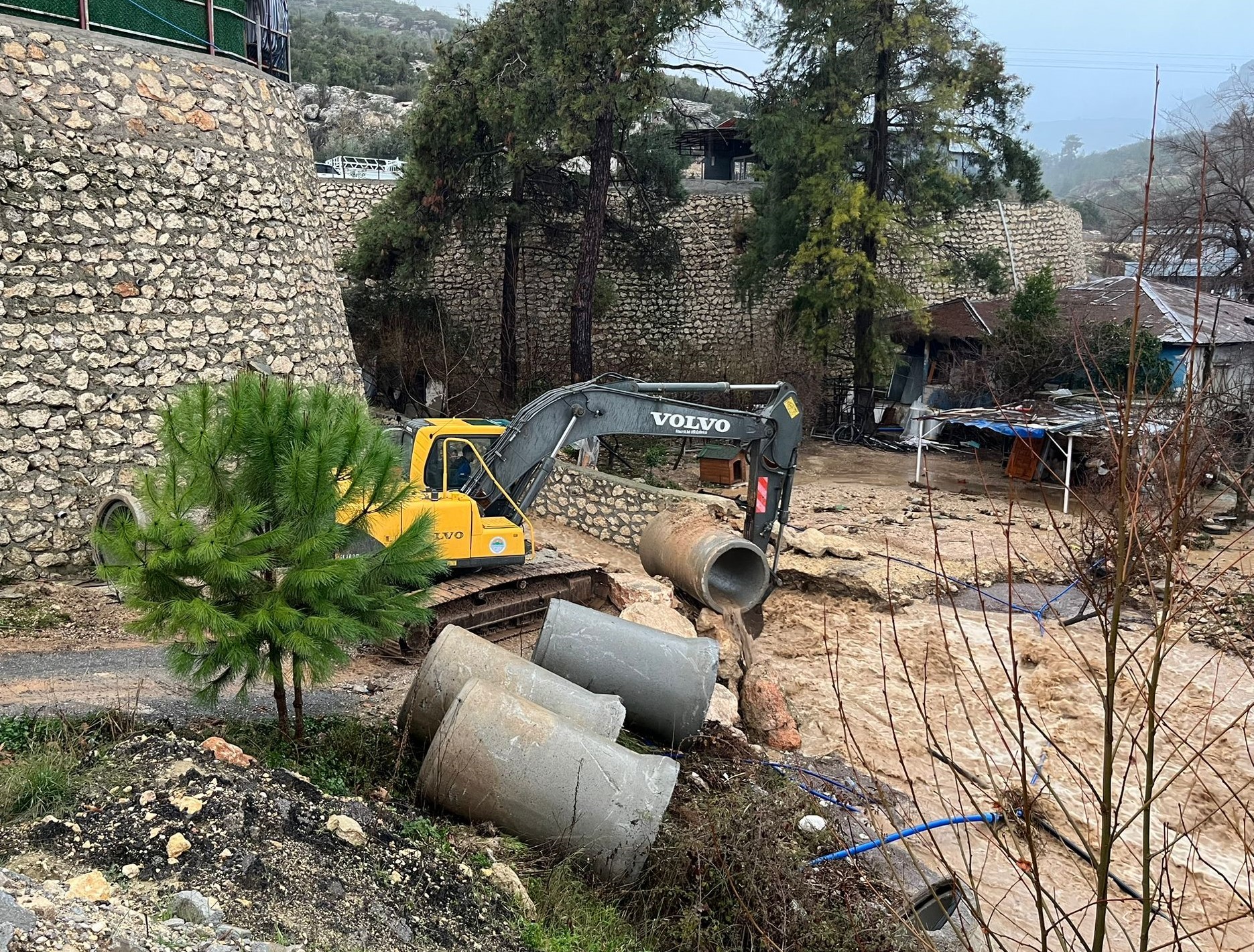 27D2Bc38 58C2 499C 903A 1Bf10C20153C