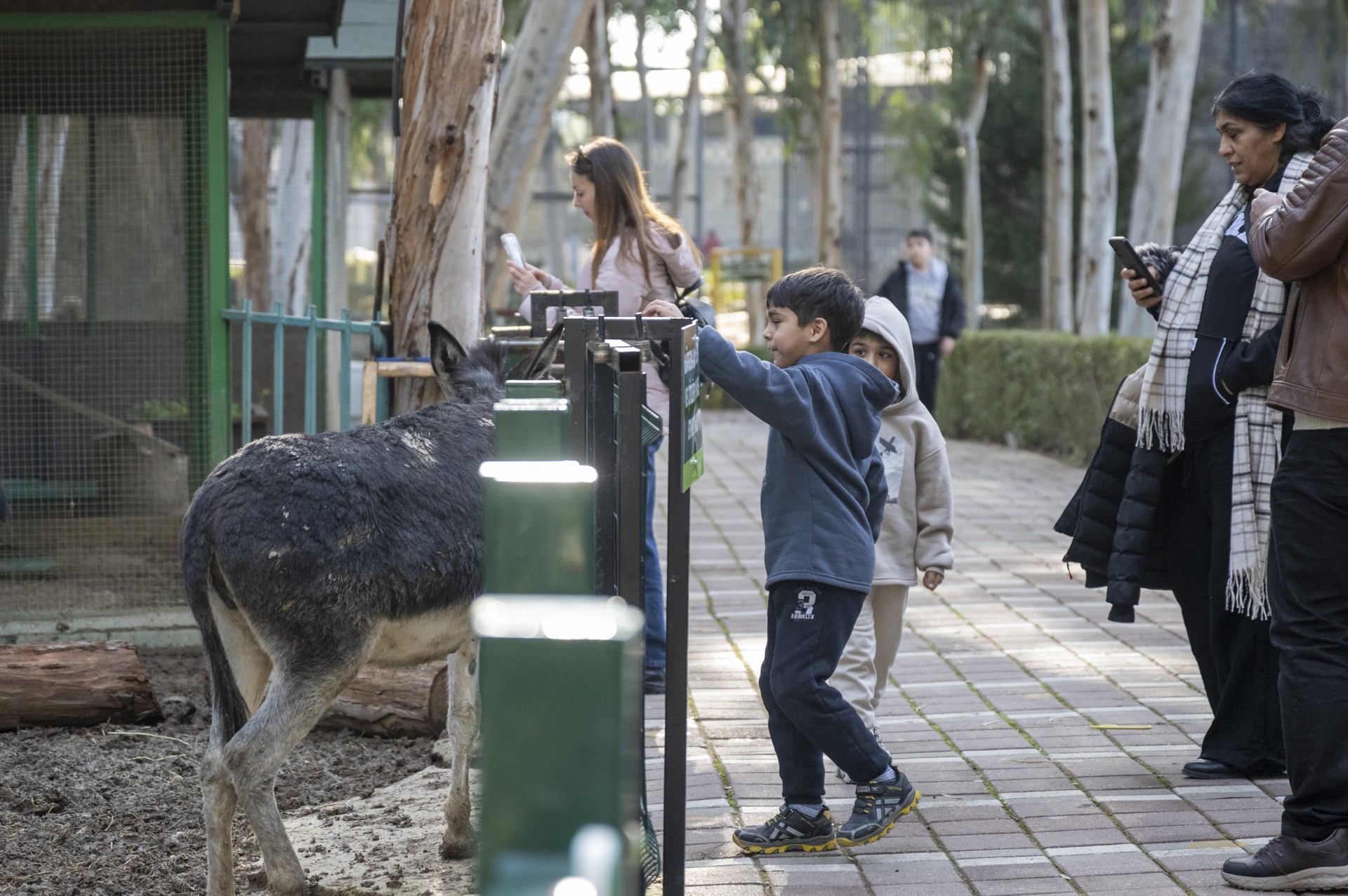 4Fc9E835 Bdcc 4D5C A1C8 Fd40Aefcc130