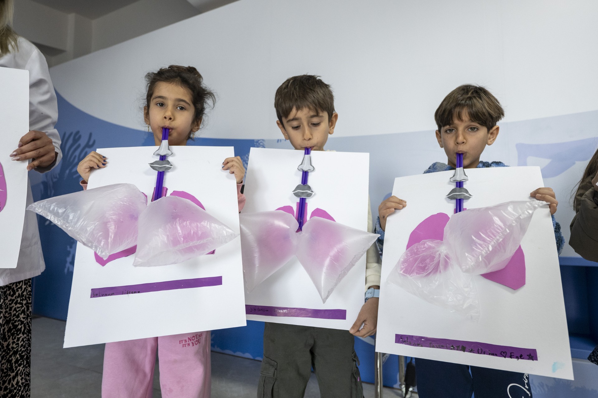 896F78Bd 801C 44D1 8689 7E4D00812D19