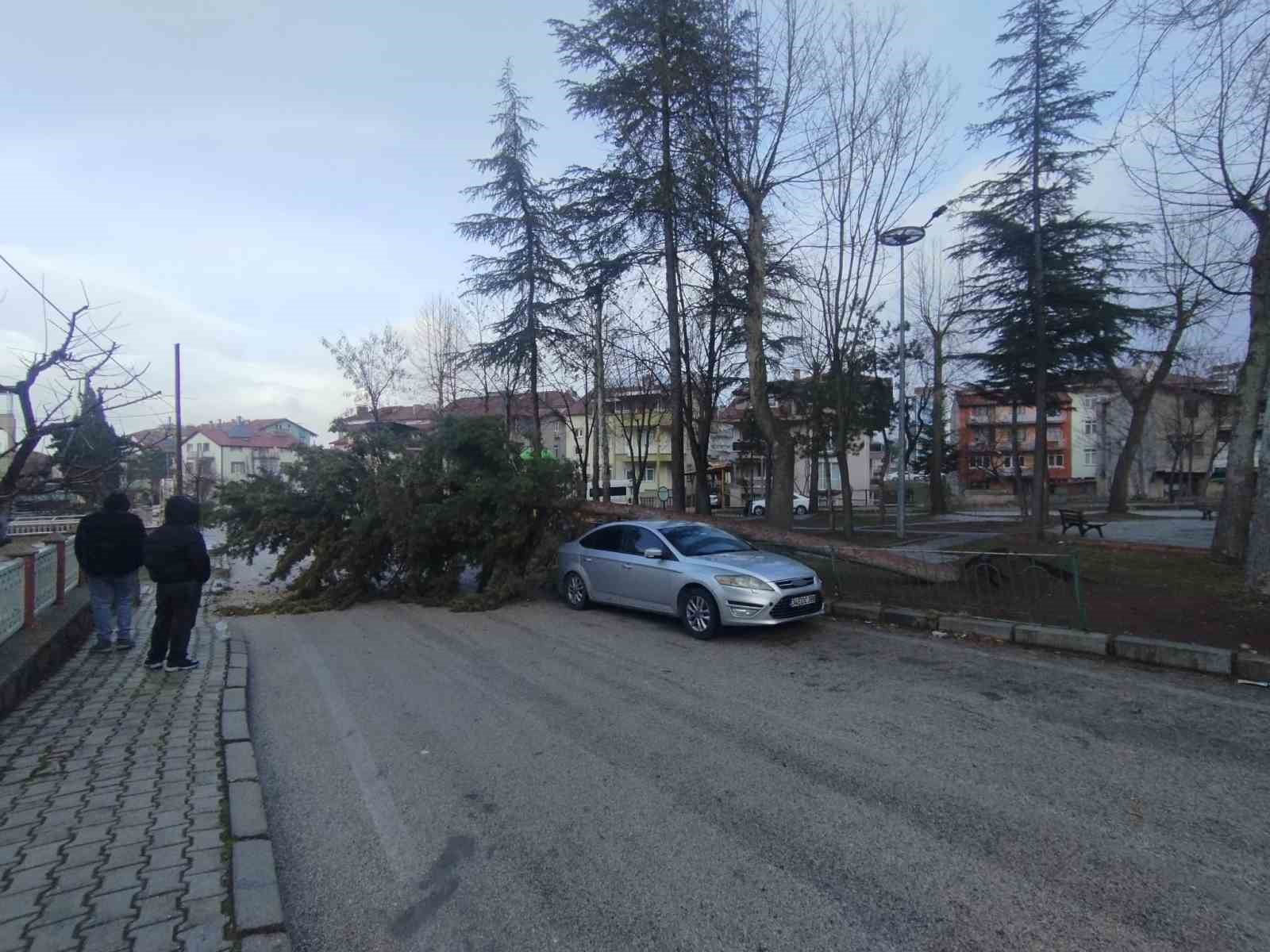 Isparta'da fırtına ağacı kökünden söküp park halindeki aracın üzerine devirdi