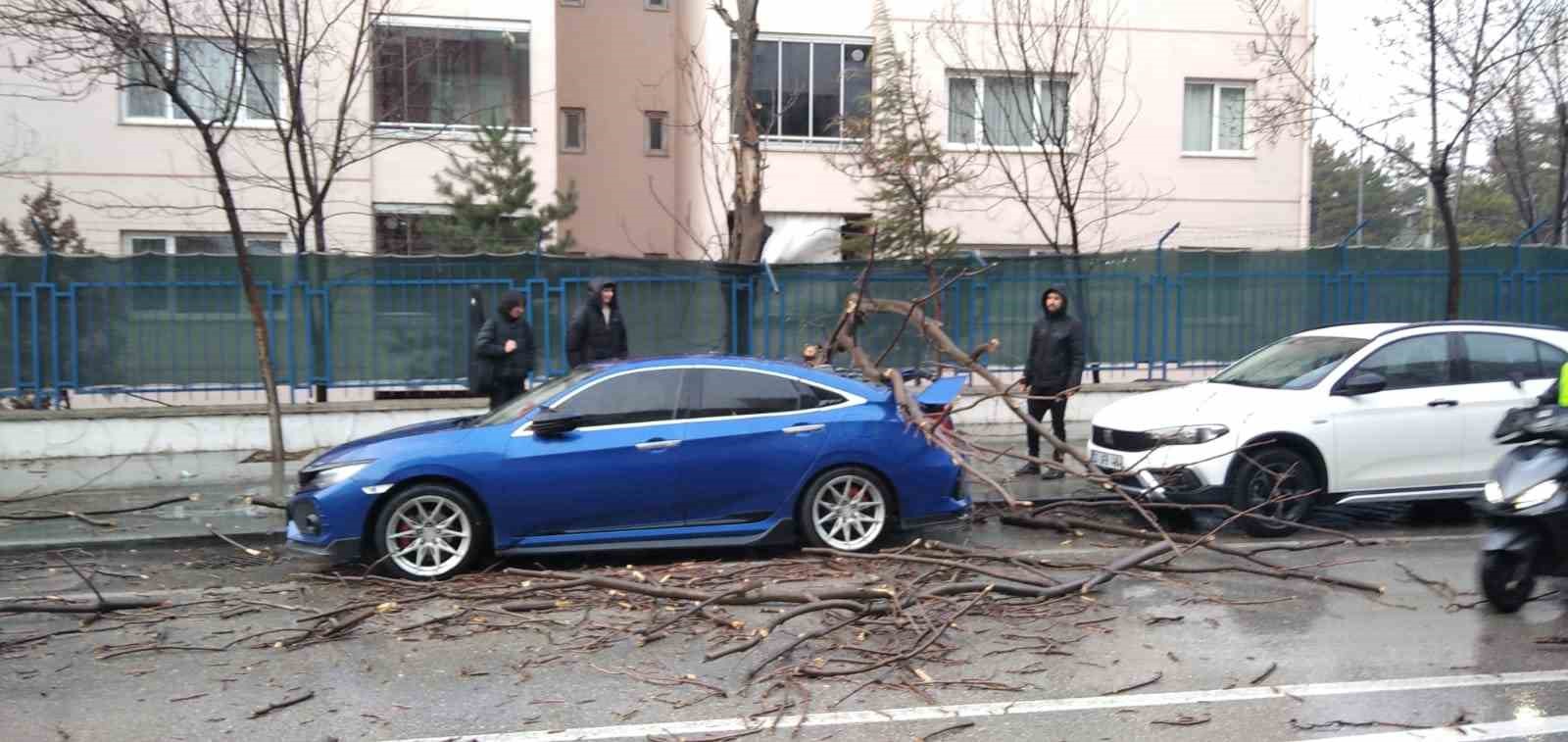 Isparta'da fırtına ağaçları devirdi, araçlar hasar gördü