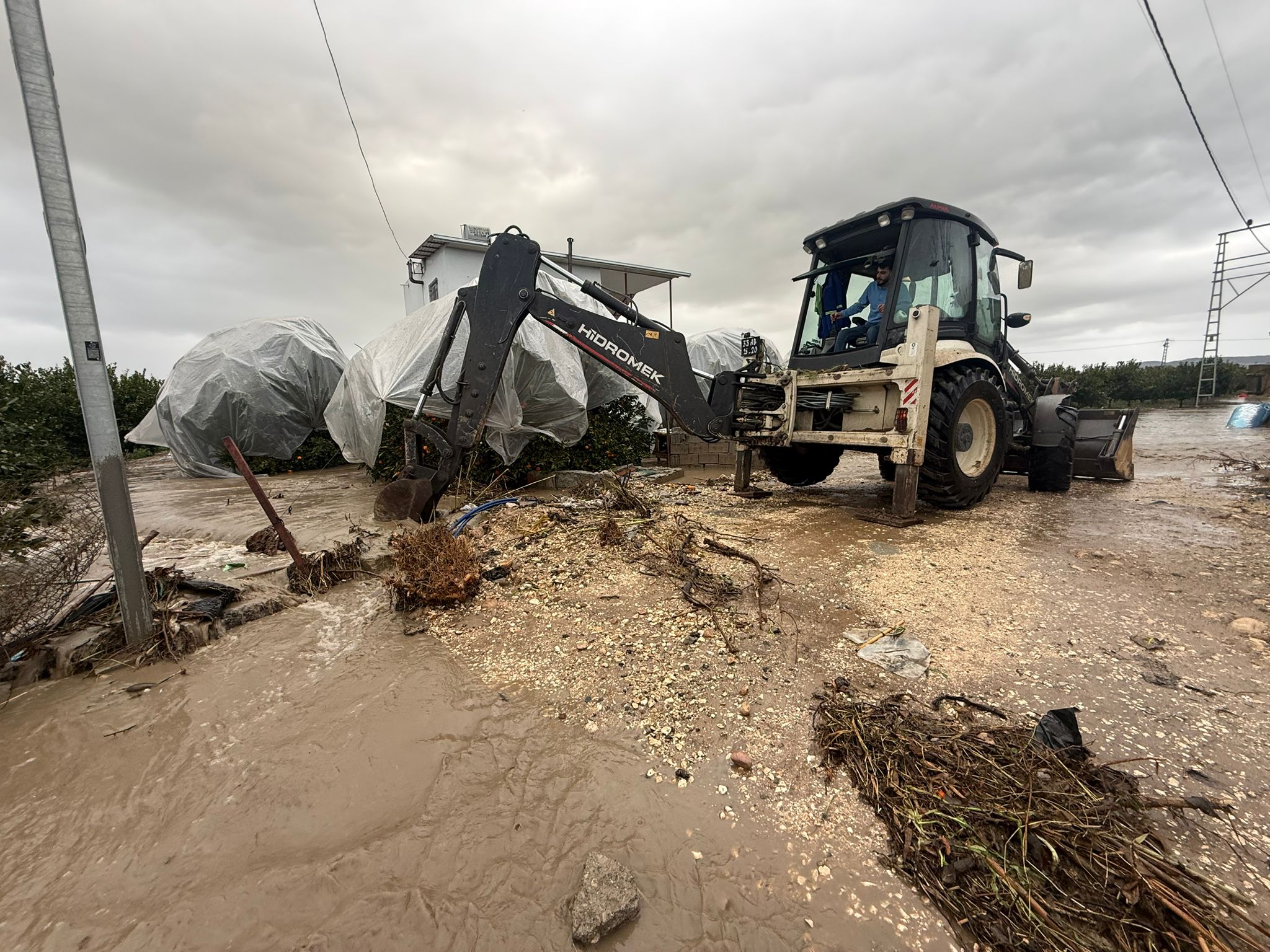 Bf1D5Aaf 83F8 40C7 8D7B 76Db0D8F30Be