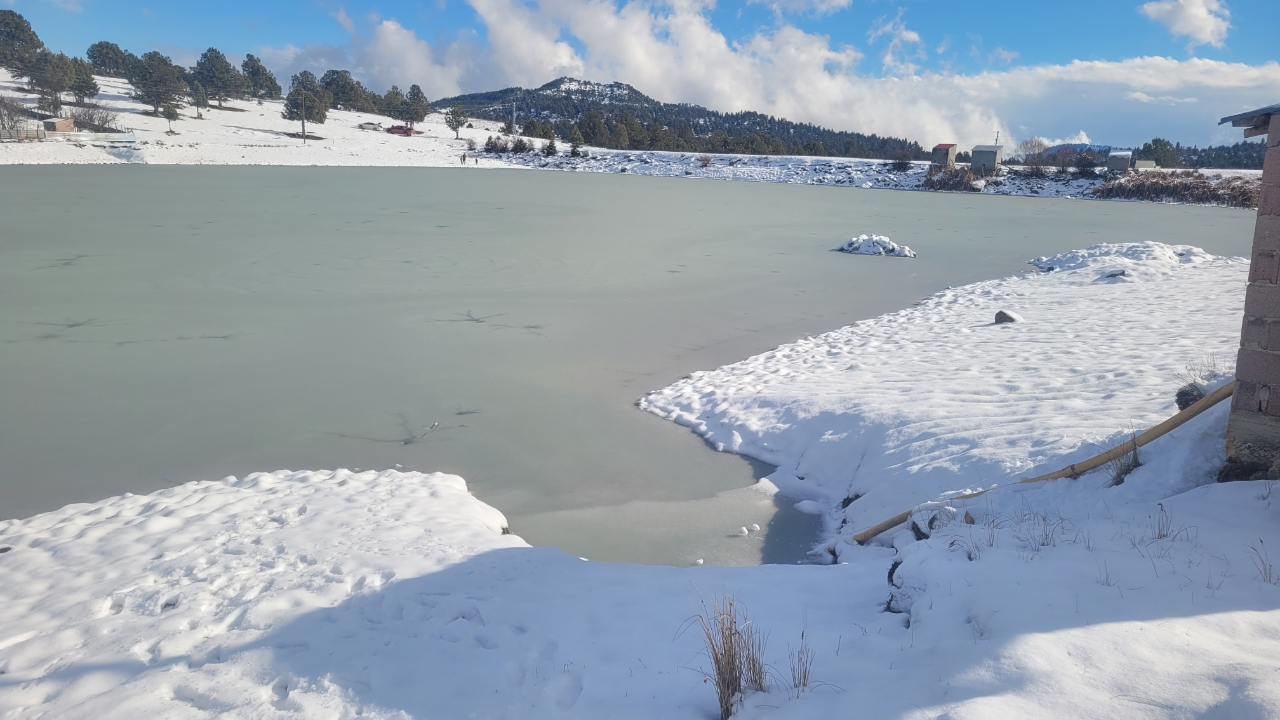 Picsart 26 01 01 22 53 59 811