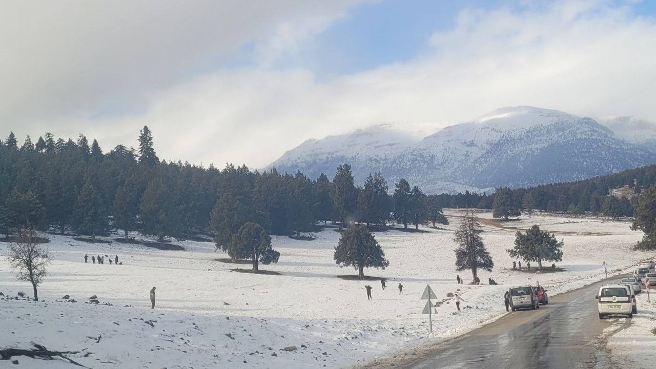 Picsart 26 01 01 22 59 24 027