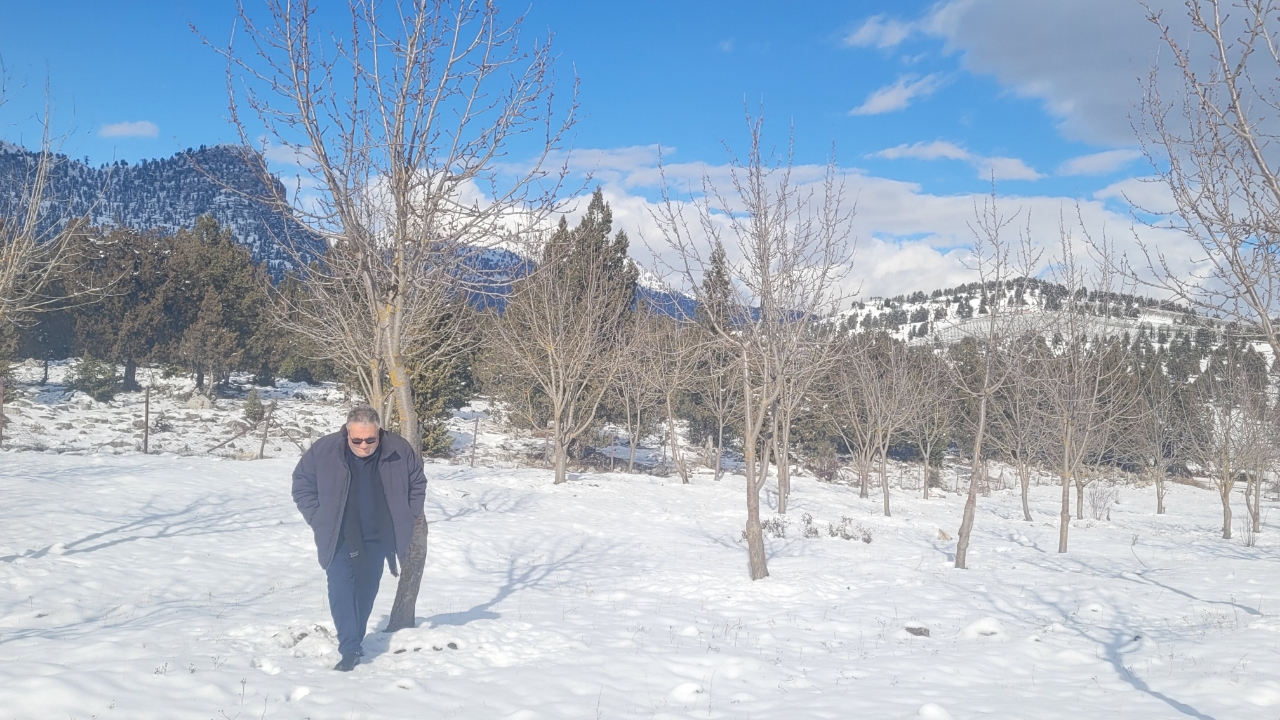 Picsart 26 01 01 23 00 43 601-1