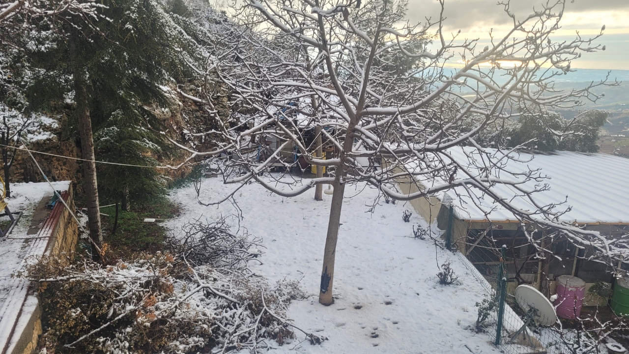 Picsart 26 01 23 09 47 33 462