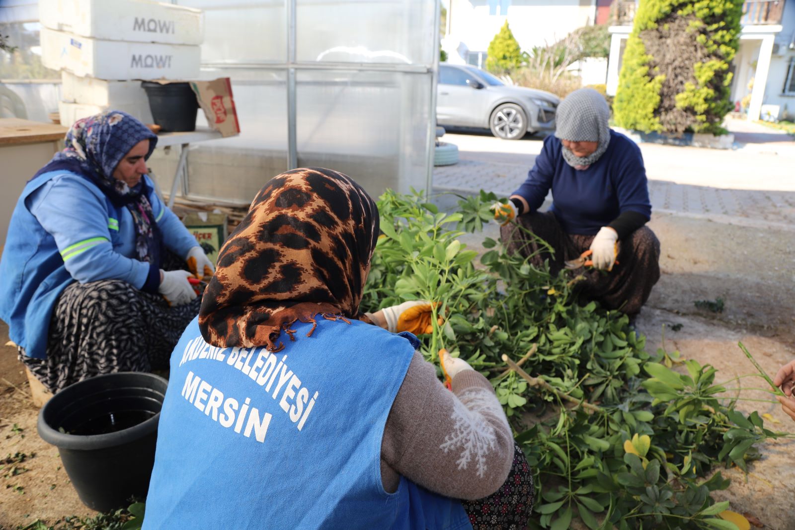 2B0D2Df4 090B 4Df5 A6Cb 8530F5Ce1Ede