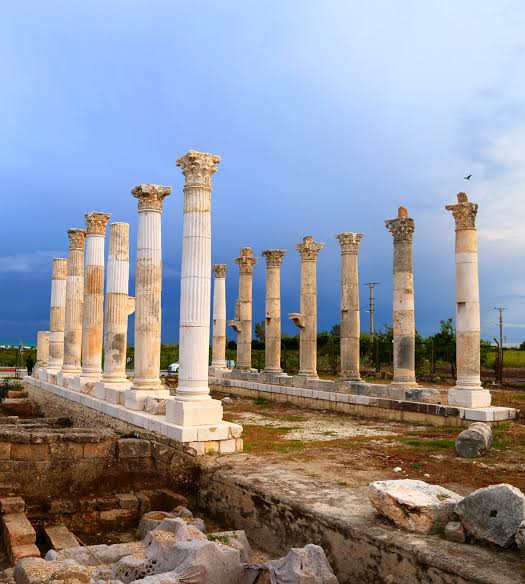 41E737Ba 9A04 409D 99Bf 345F886C853A