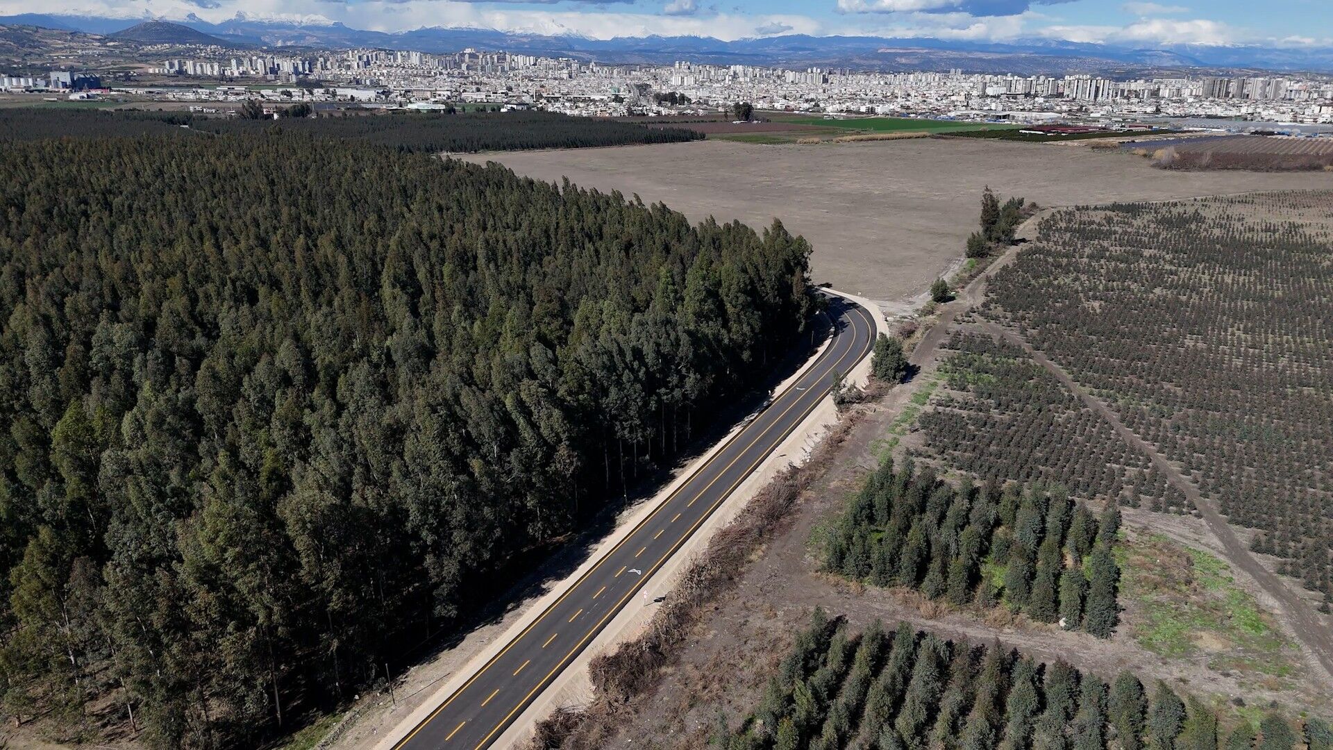 45F469C7 9C85 4237 Ab03 187F0Ed4Dbbf