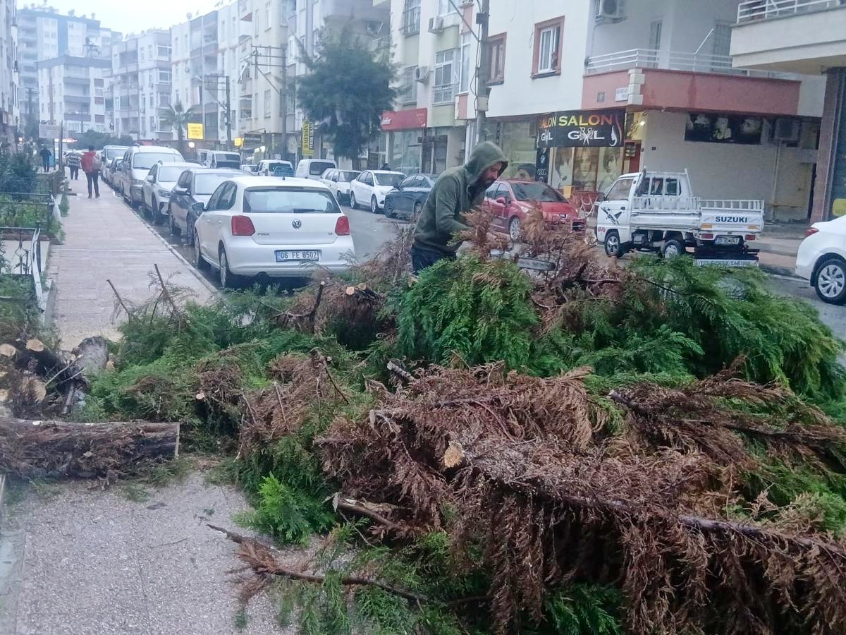 51Bef8E6 28Ff 484D 84Bc 63Ac8A209Df0