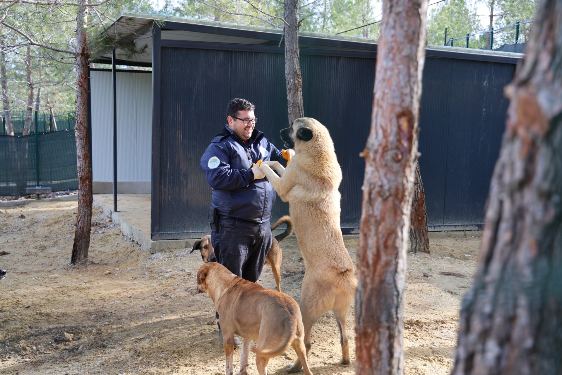 7255Ef2C 01Cd 4F59 B711 B4C1209Faa65