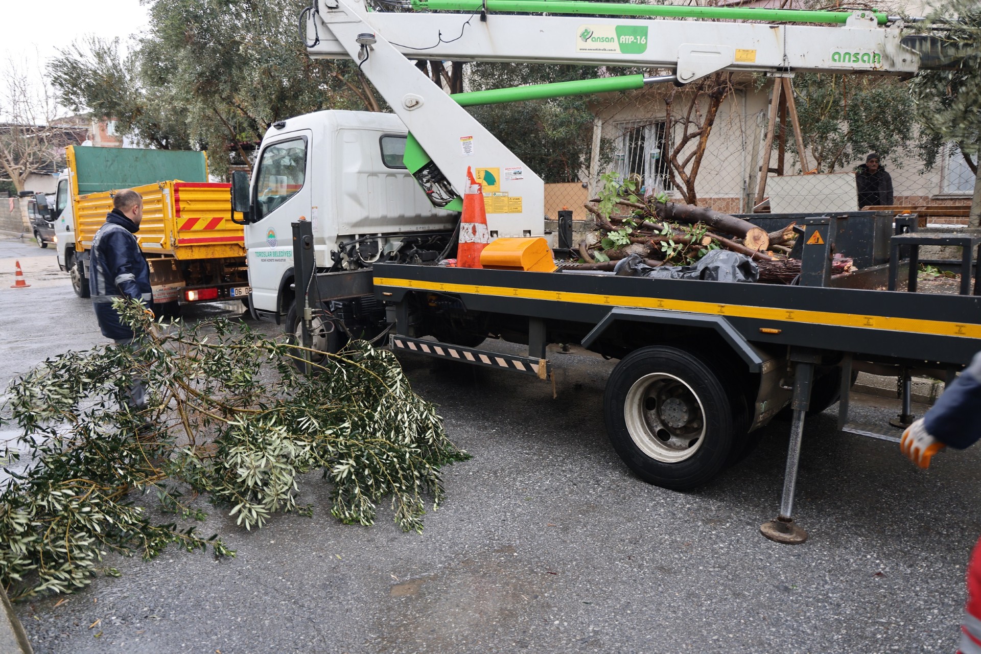 76121F98 6802 4E51 92A1 4390C84C08E1