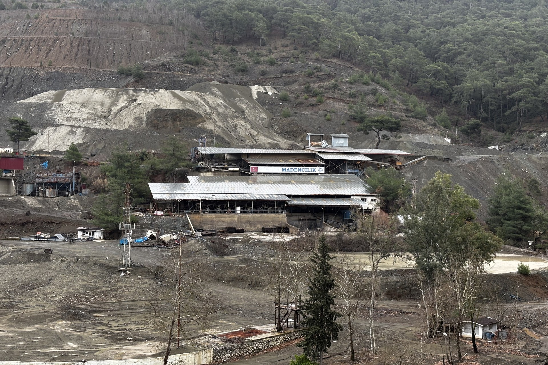 Ef431B3D 83Fd 49Bb A02F C8Ebad9Ab921