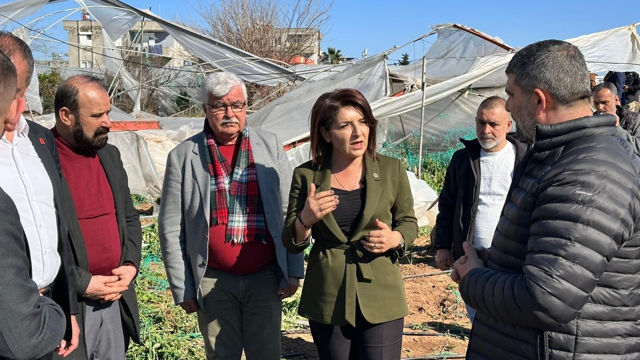 Picsart 26 02 23 00 44 12 556