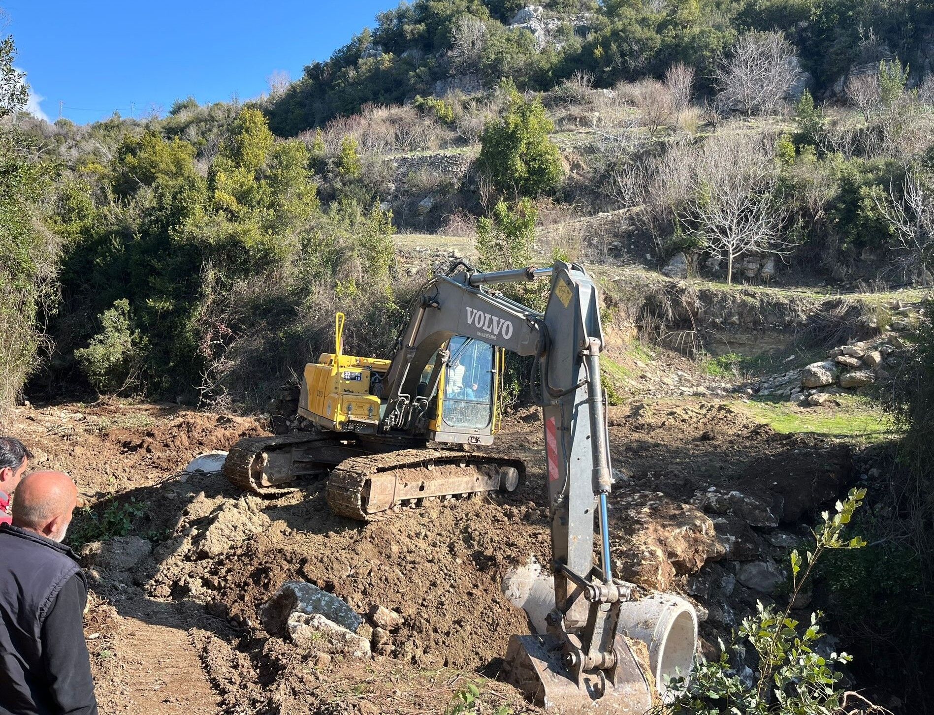 5Effd3D5 F0C1 41Bf 8F0A C2F3E917A456