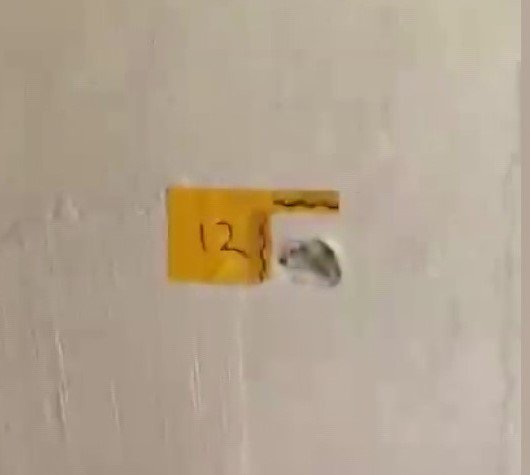 'Polisiz' diyerek eve giren şüpheliler anne ile oğlunu vurdu