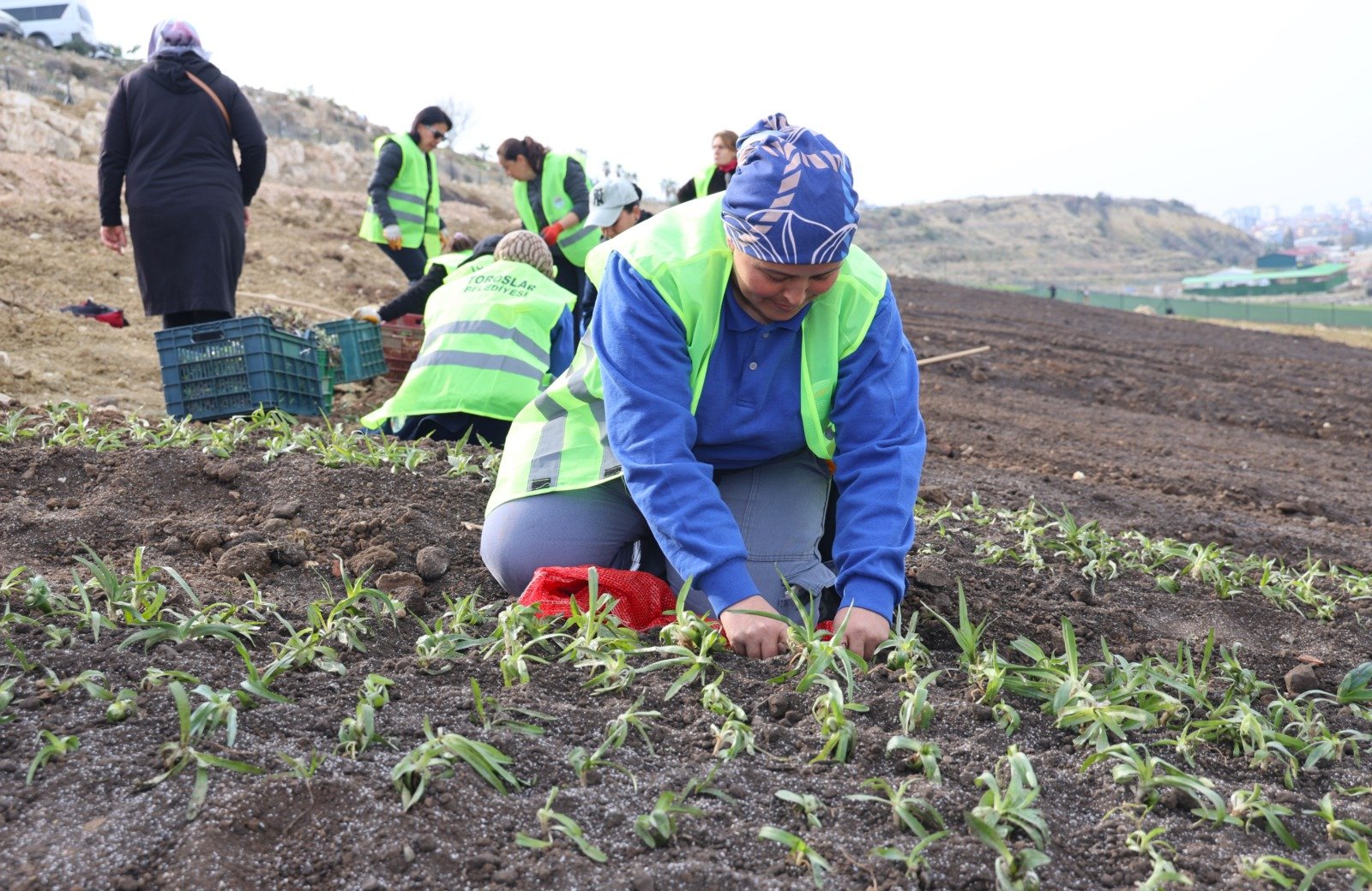 62B27E6C F25E 4Eec 85A4 B17C2214Ab67