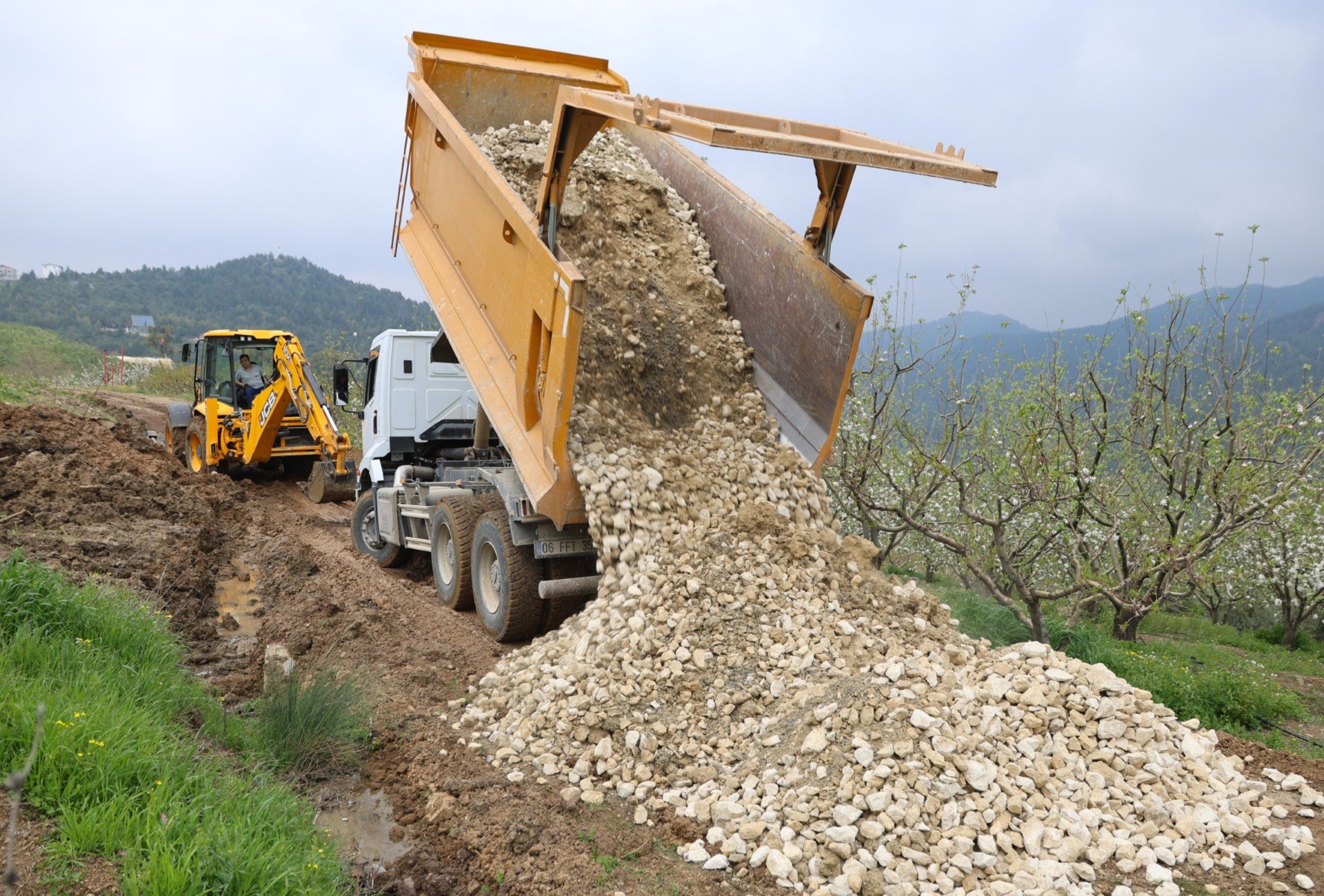 80Db0F90 Dcf3 4496 9Ce1 Ac4Ee97C4F46