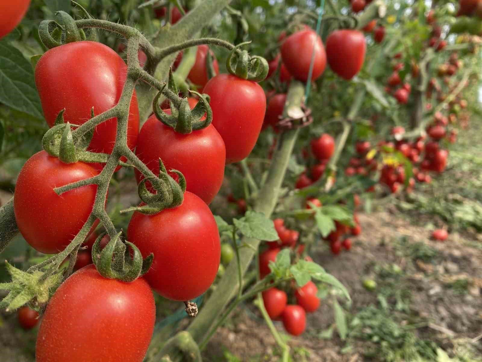 ATB mart ayı hal endeksini açıkladı