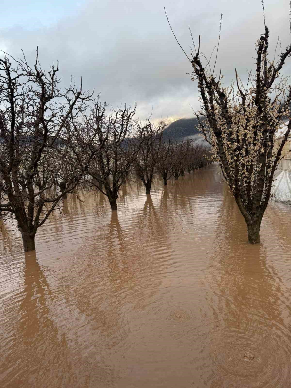 Elmalı'da dereler taştı, tarım alanları sular altında kaldı