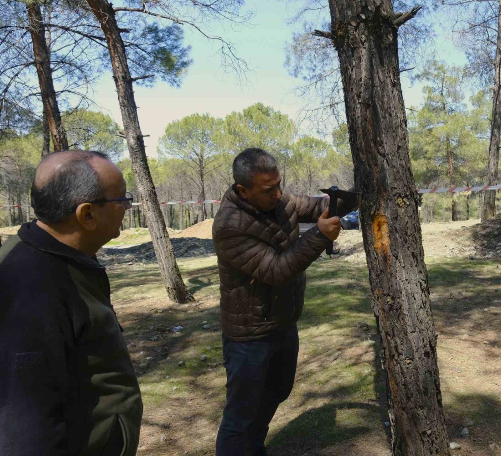 Kahramanmaraş'ta orman zararlılarına karşı mücadele sahada incelendi