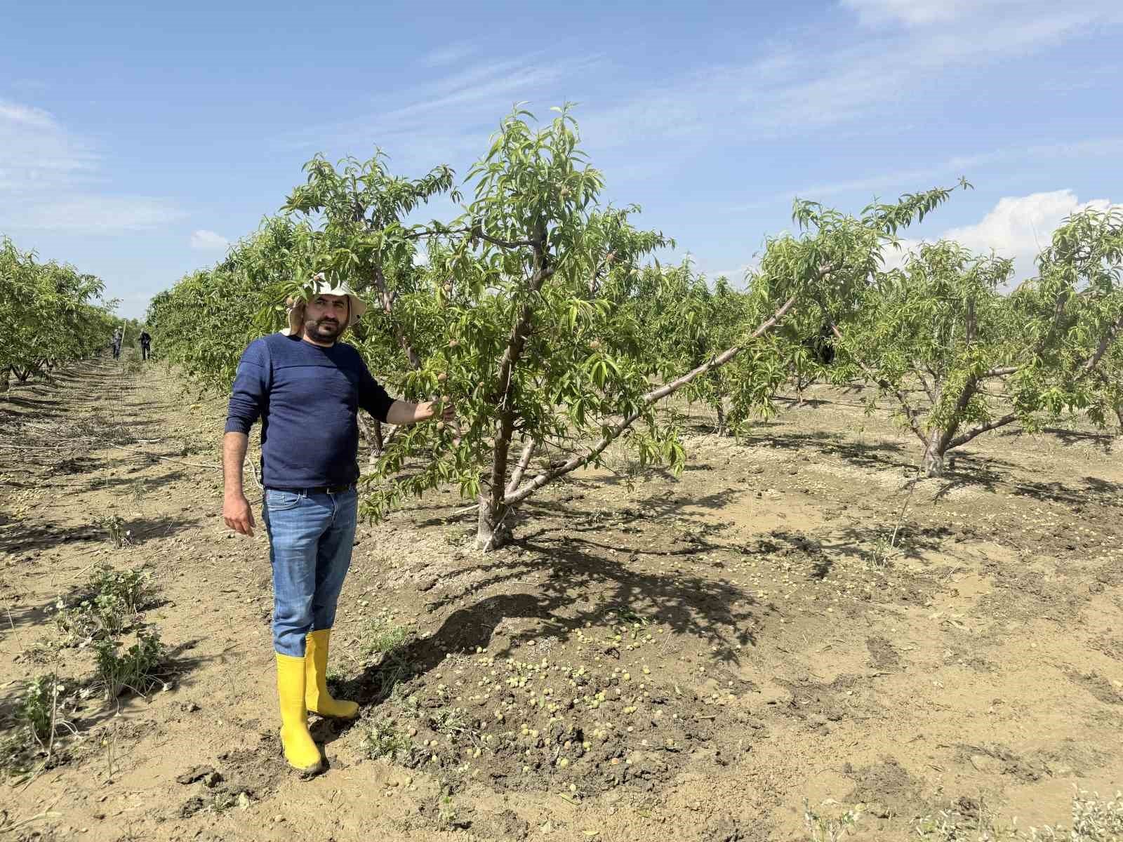 Mersin'de selin ardından bahçelerde sular yeni çekildi