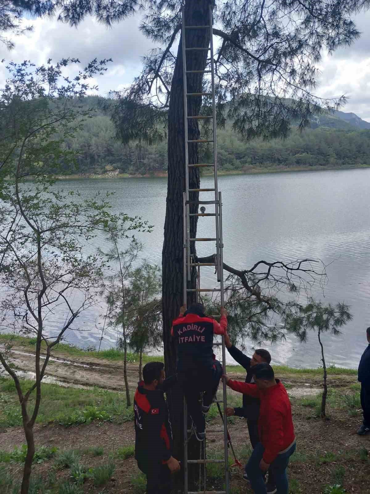 Osmaniye'de ağaca takılan kargayı itfaiye kurtardı
