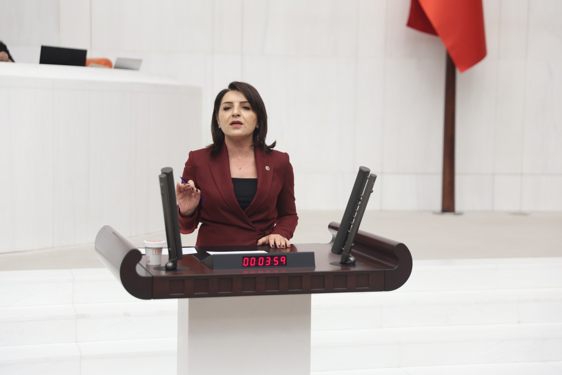 Gülcan Kış'tan Vergi Tepkisi: Vatandaş Geçinemiyor!