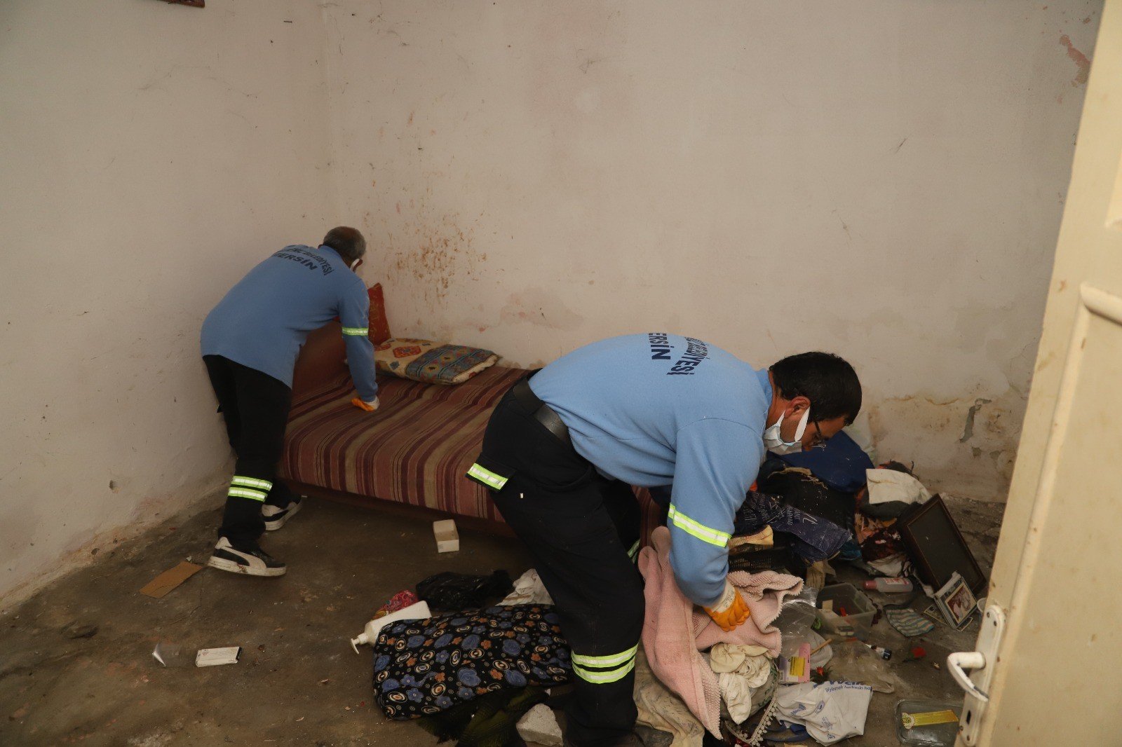 D91147D6 1D49 4983 A53C 3B7Ec3Ea0D72