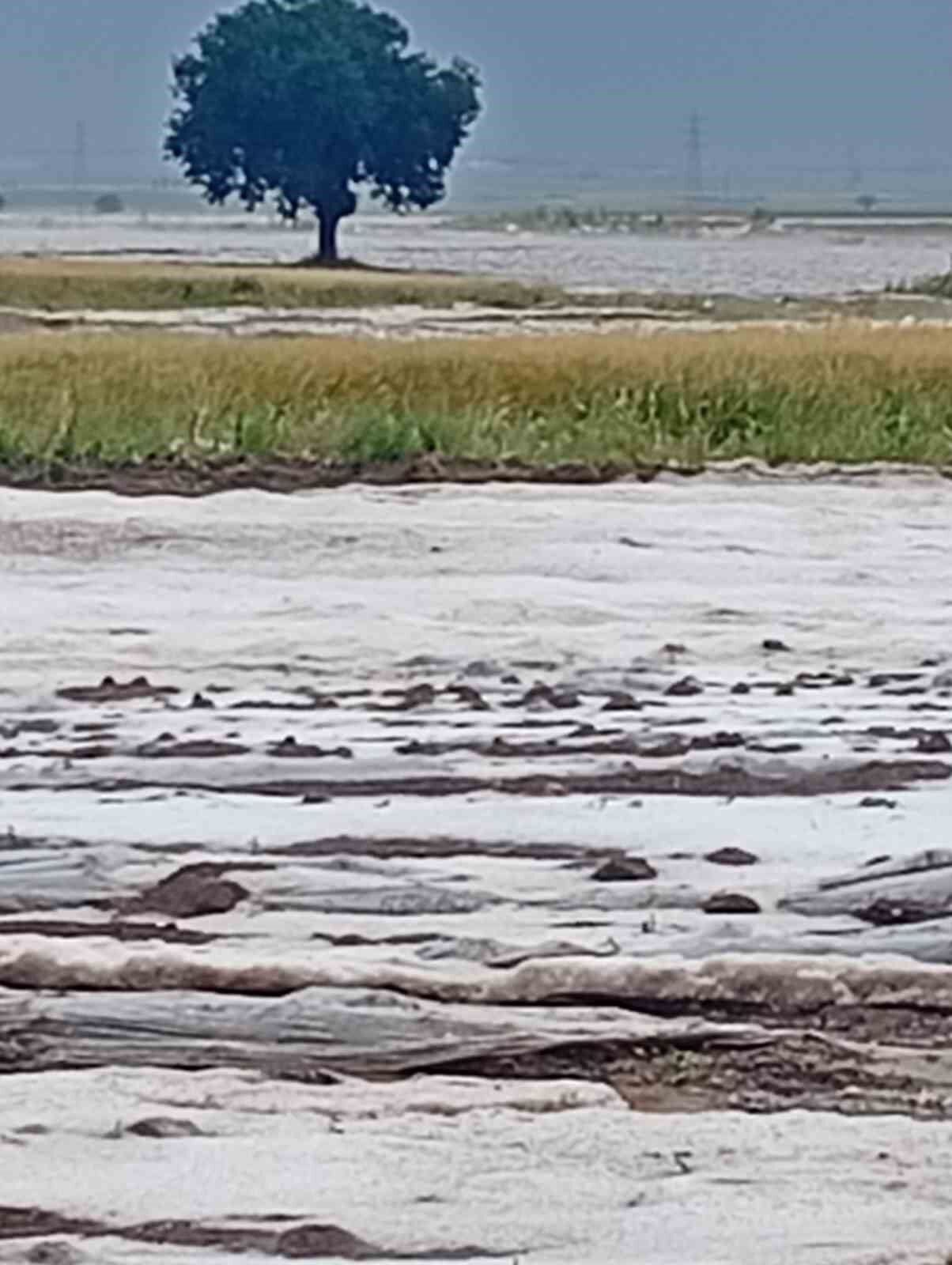Adana'da dolu yağışı etkili oldu