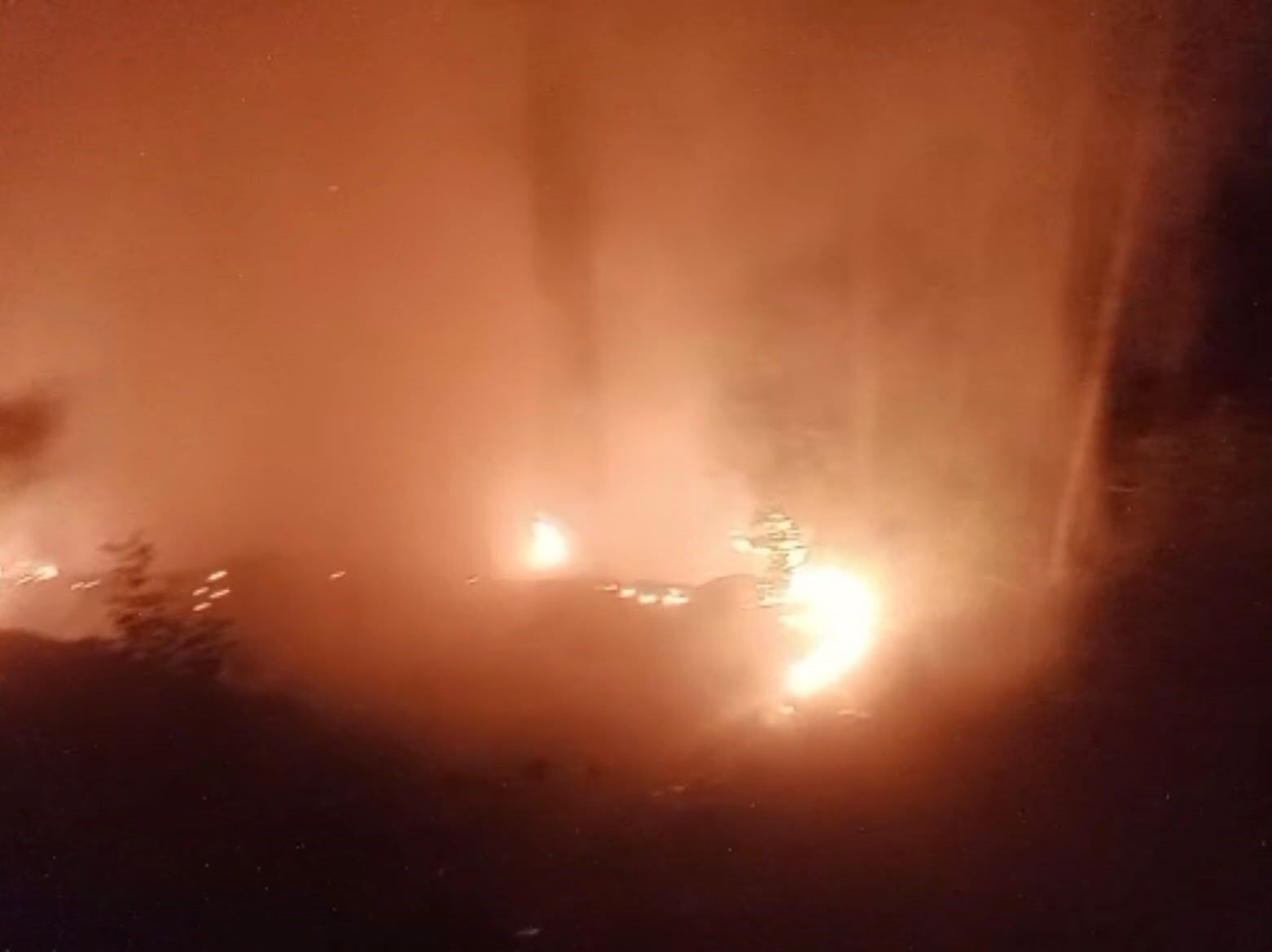 Alanya'da ormanlık alan yangınında 2 dönüm alan zarar gördü