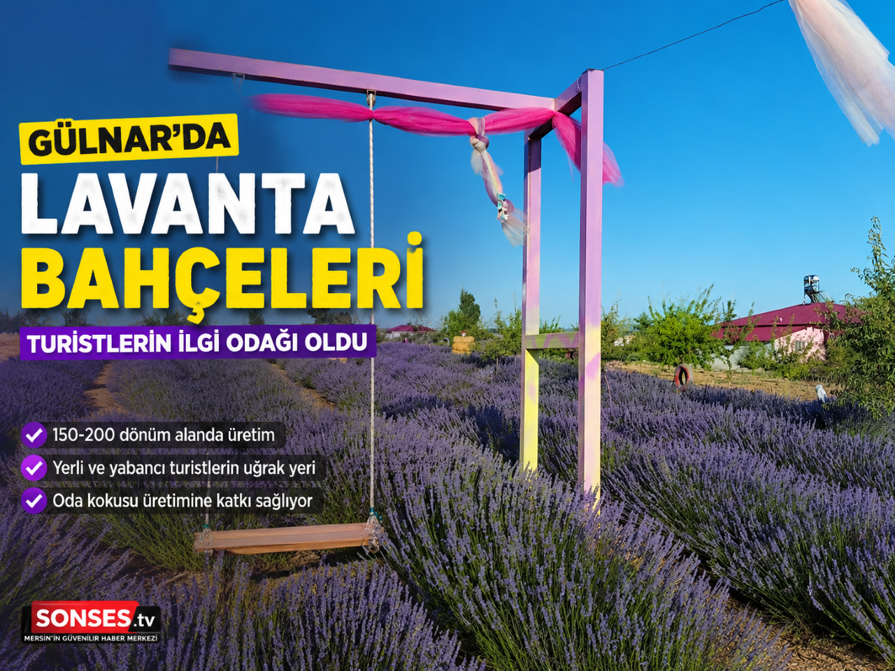 Gülnar’da Mor Bahçeler Turistlerin İlgi Odağı Oldu