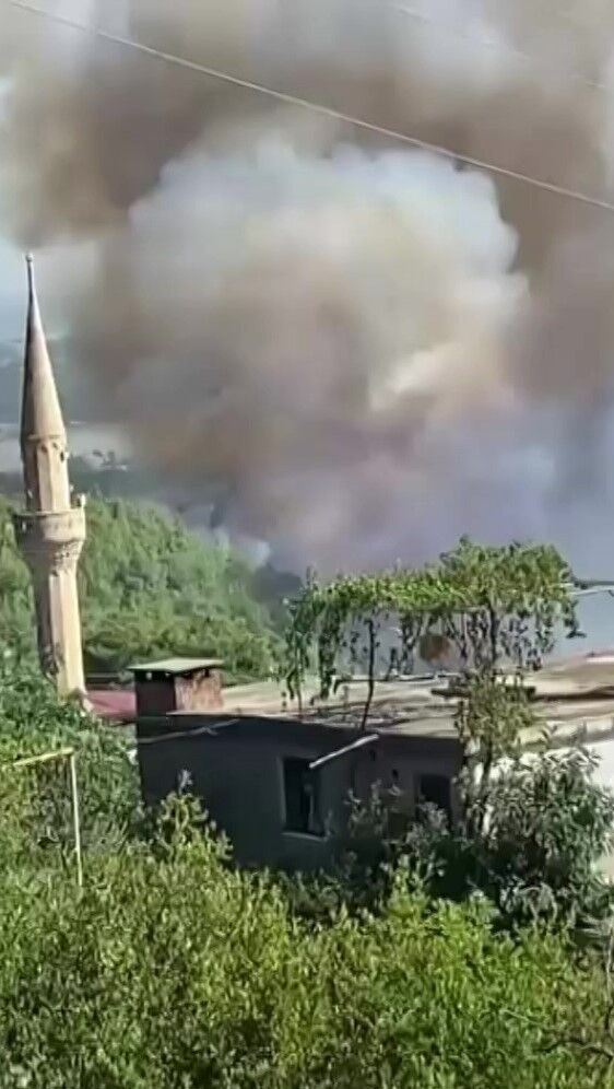 Adana'da orman yangını