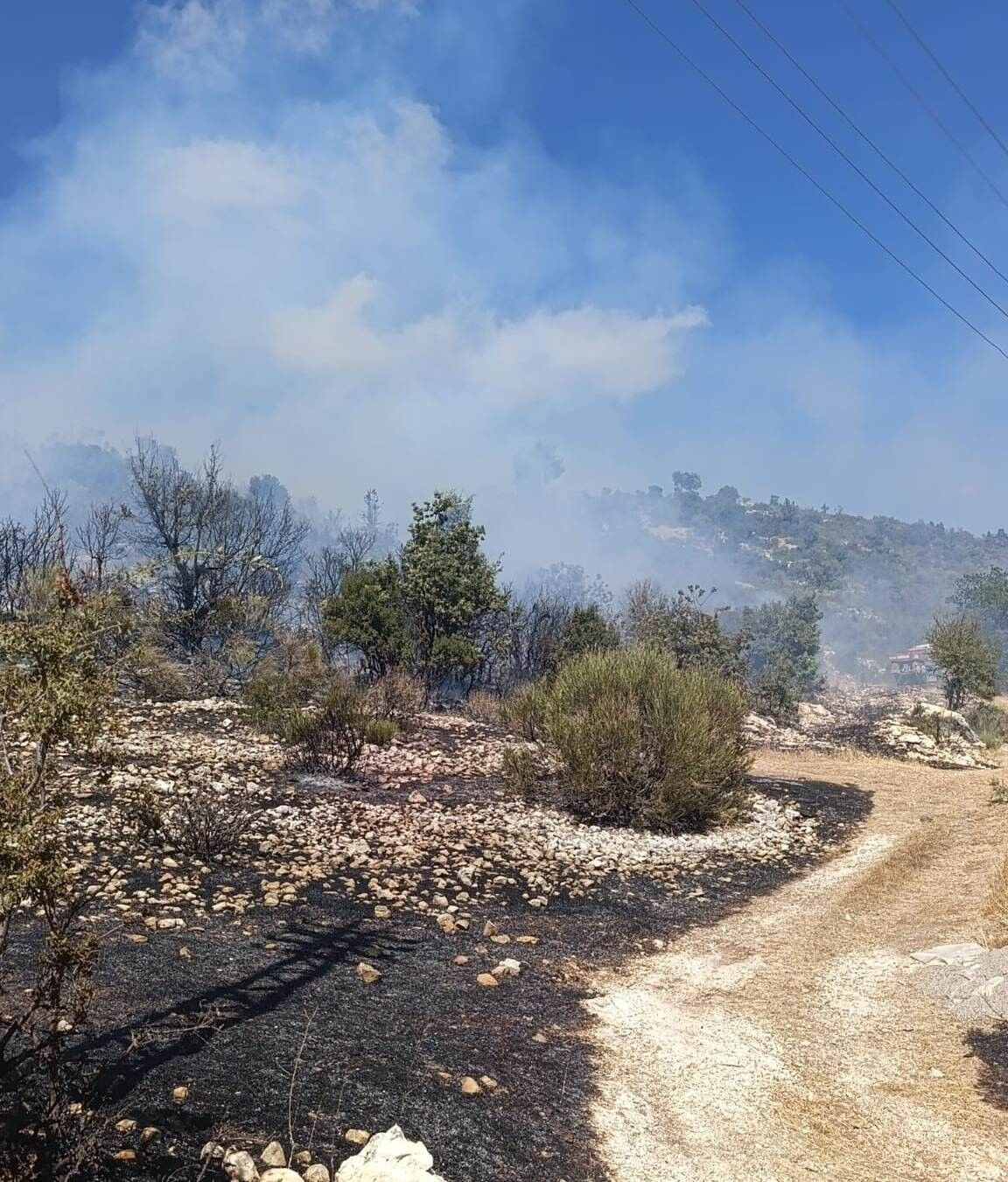 Silifke'deki yangın evlere ulaşmadan kontrol altına alındı