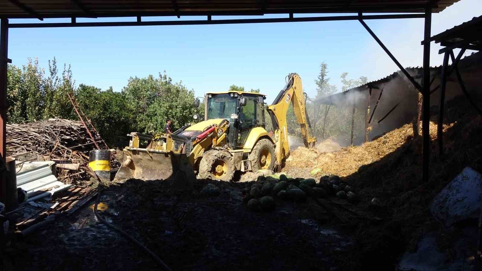 Antalya'da 2 yıl arayla ikinci kez yanan ahırda hayvanlar telef oldu