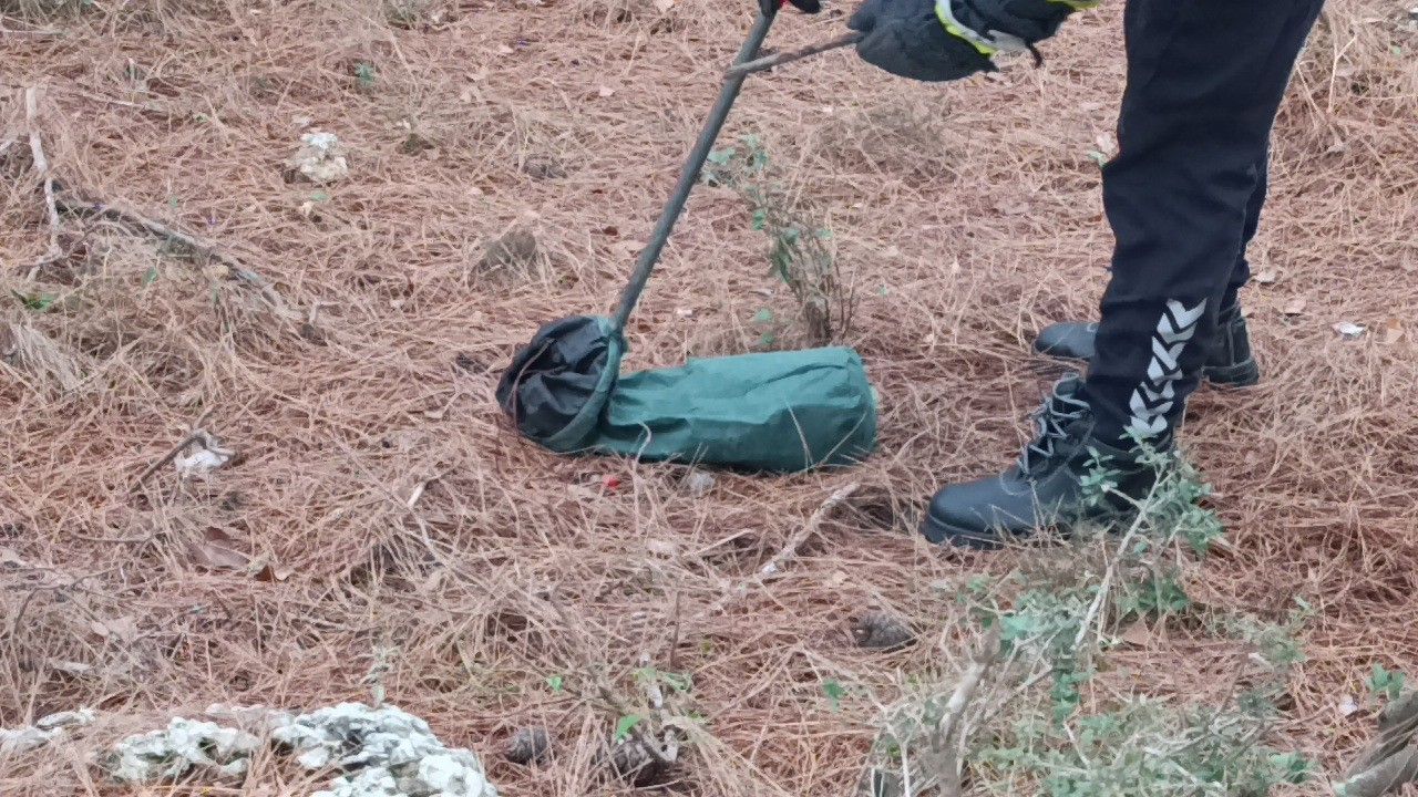 Evin girişinde bulunan yılan, itfaiye ekiplerince doğaya bırakıldı