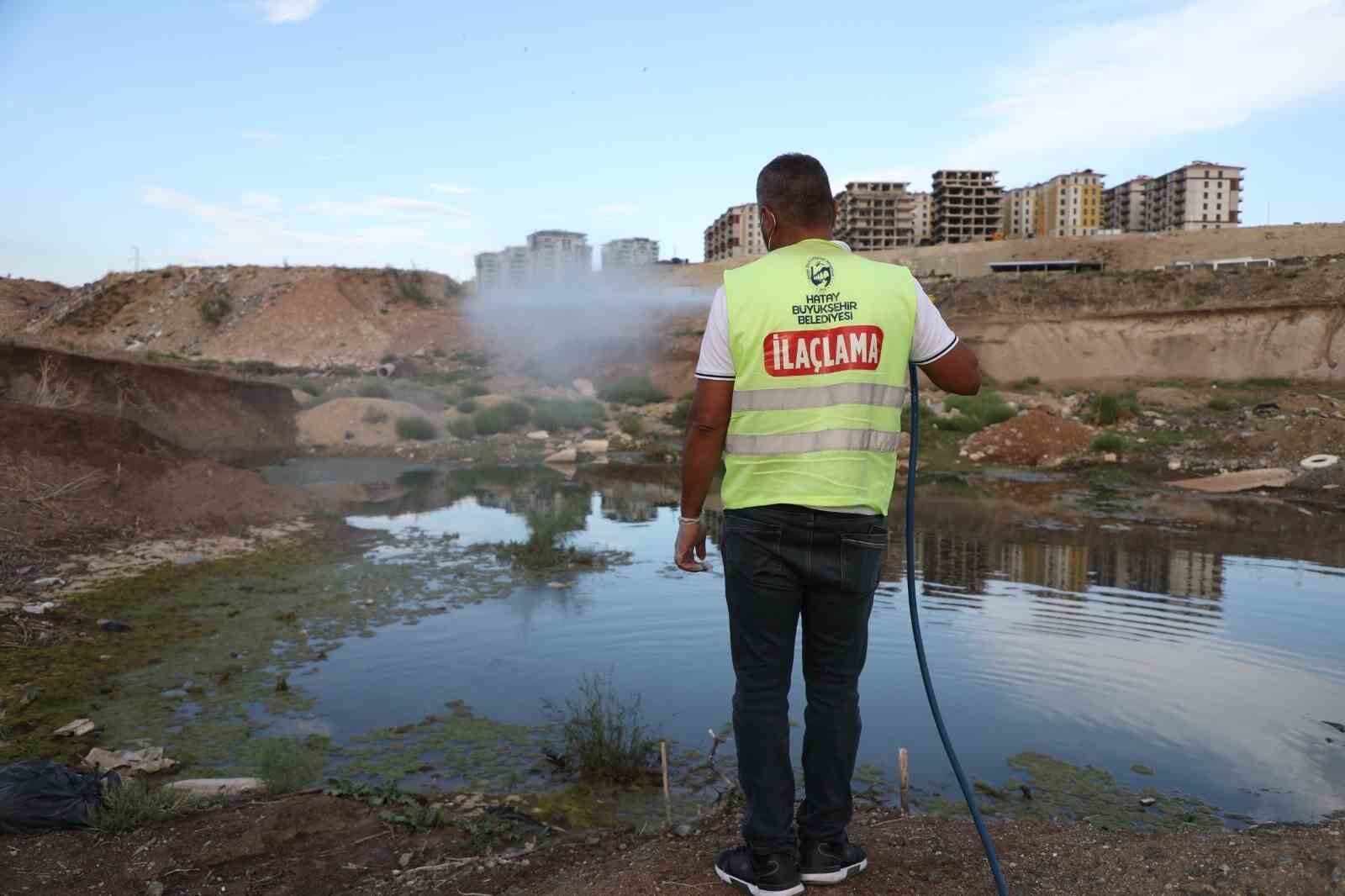 Hatay'da haşere ve vektör mücadelesi sürüyor