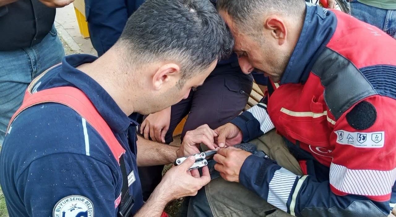 İskenderun'da ağaca takılan güvercin itfaiye ekiplerince kurtarıldı